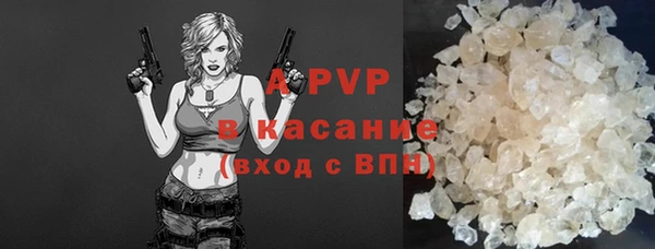 стафф Корсаков