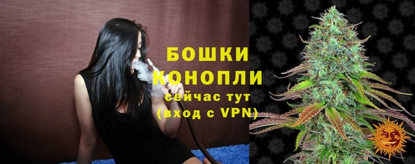 стафф Корсаков