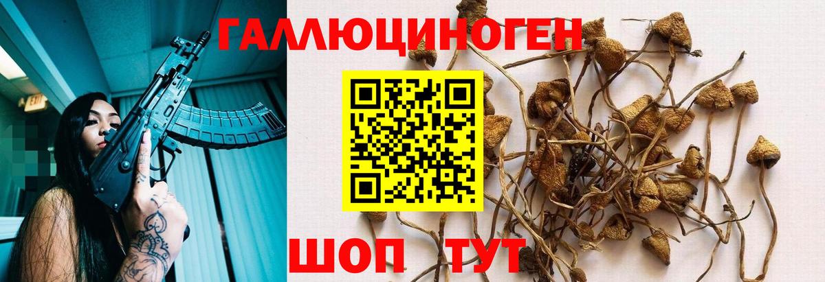 Галлюциногенные грибы MAGIC MUSHROOMS Малгобек