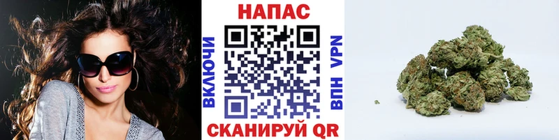 Конопля THC 21%  купить закладку  Малгобек 
